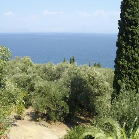 Spiros * Benitses (Corfu)